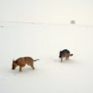 Meet your Posher, Debi